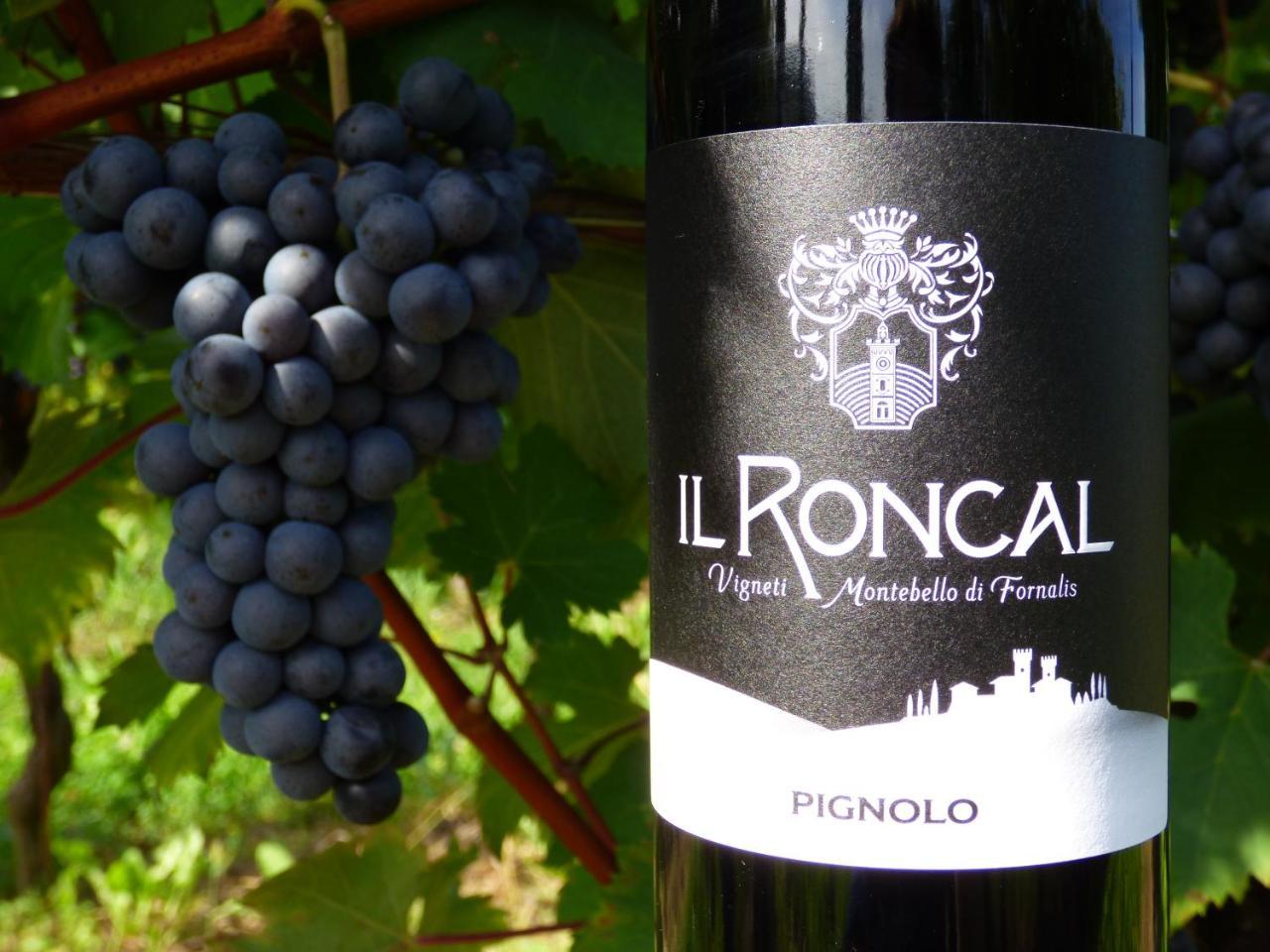 Il Roncal Wine Resort - For Wine Lovers Cividale Del Friuli Exterior photo